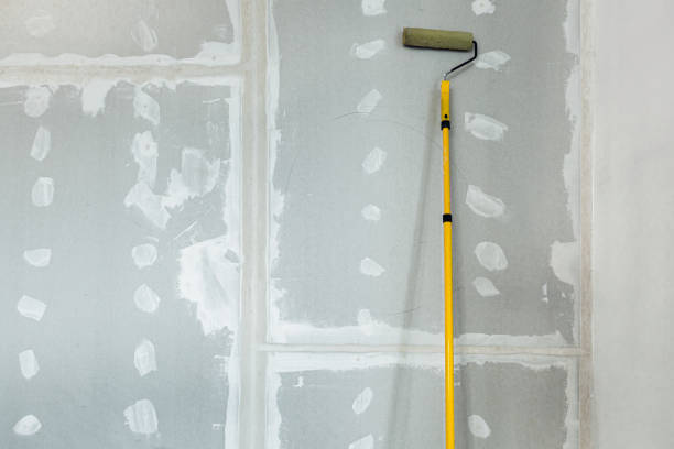 Best Mold-Related Health Consultation  in Bidwell, OH