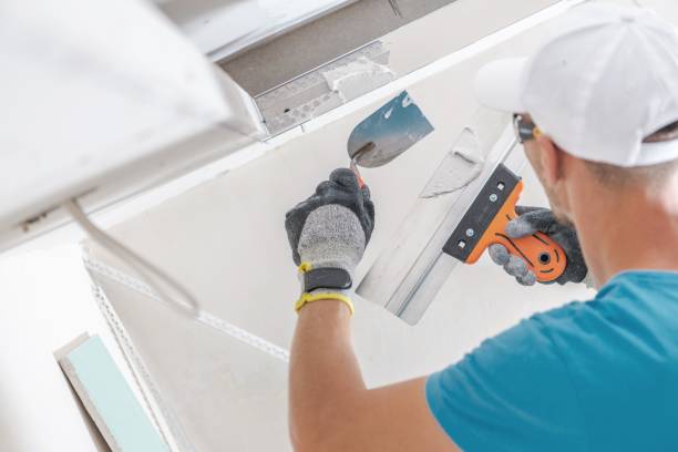 Best Mold Damage Restoration  in Bidwell, OH